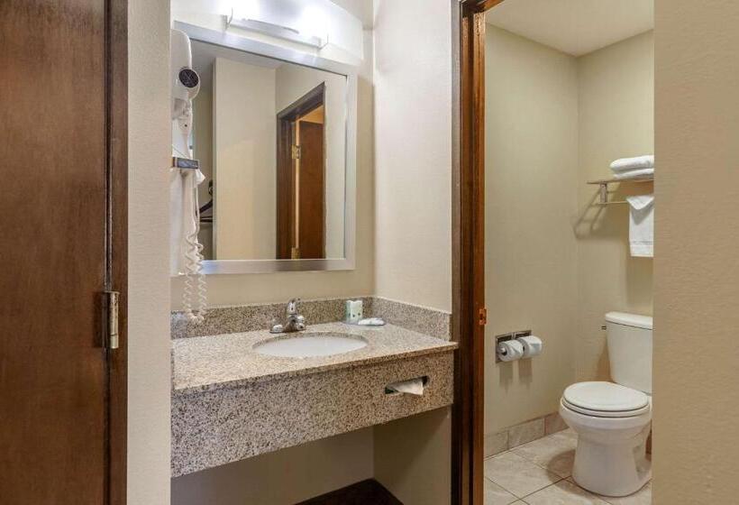 Отель Quality Inn