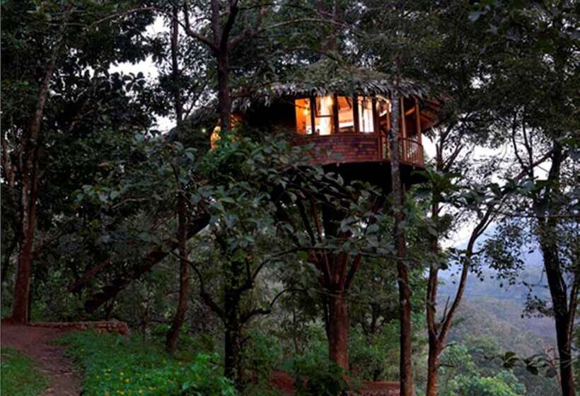 בית מלון כפרי Rainforest Resort