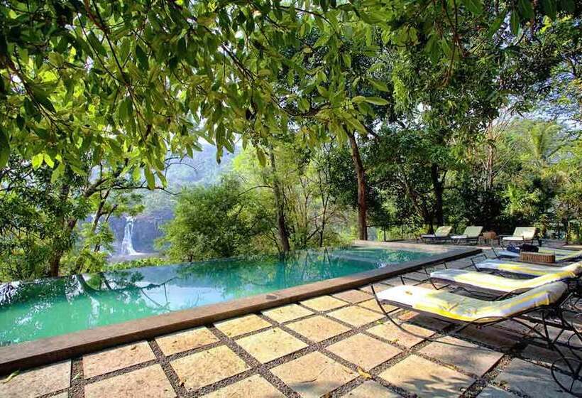 בית מלון כפרי Rainforest Resort