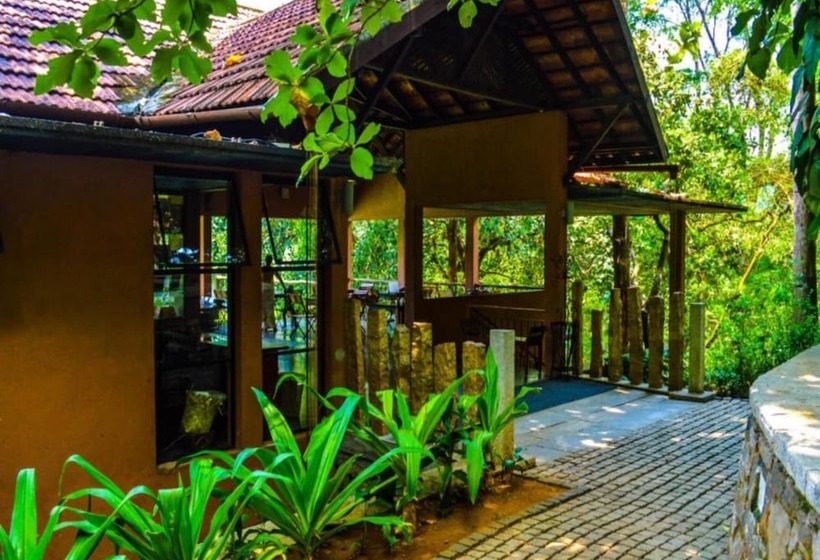 בית מלון כפרי Rainforest Resort