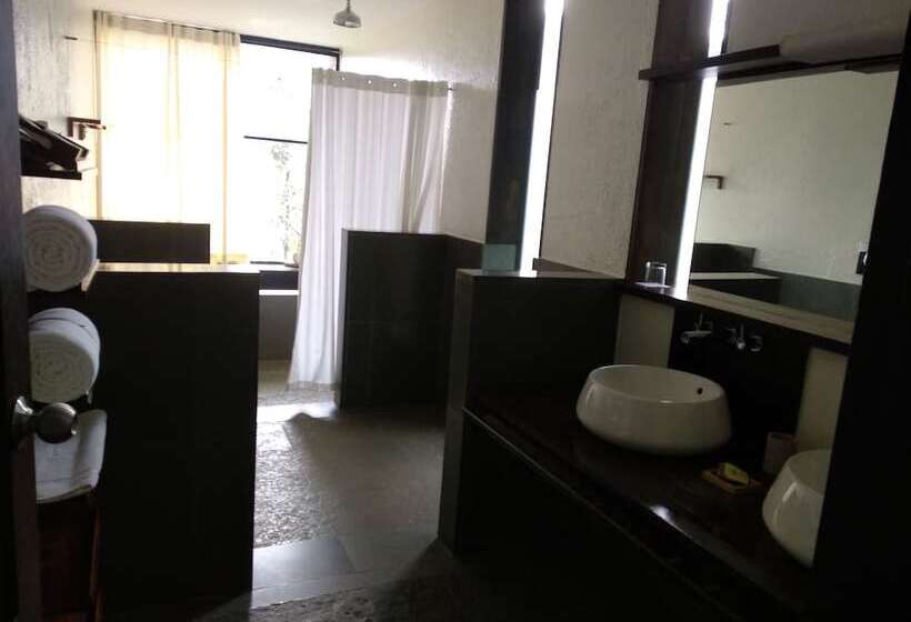 בית מלון כפרי Rainforest Resort