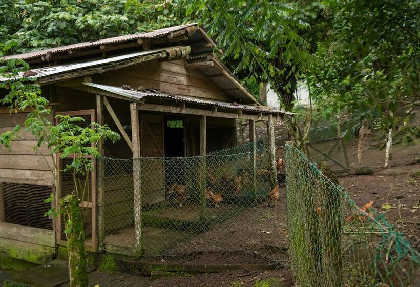 هتل Rancho Margot All Meals Included