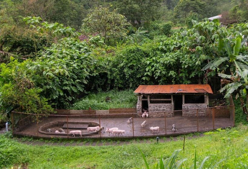 هتل Rancho Margot All Meals Included