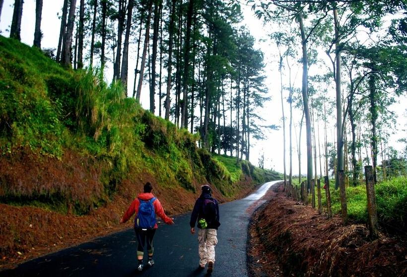 هتل Rancho Margot All Meals Included