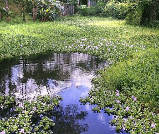 هتل Rancho Margot All Meals Included