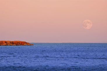 هتل Résidence De Tourisme L'albatros