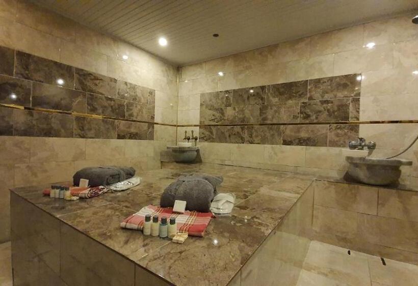 호텔 Sapanca Aqua Wellness Spa