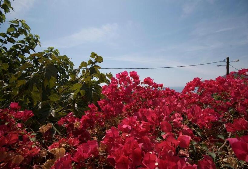 בית מלון כפרי Sarikampos Beach