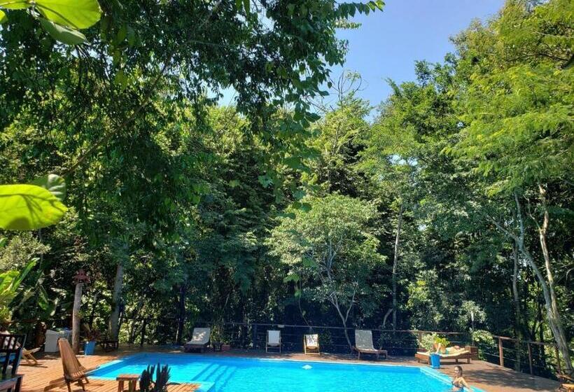 בית מלון כפרי Selva De Laurel