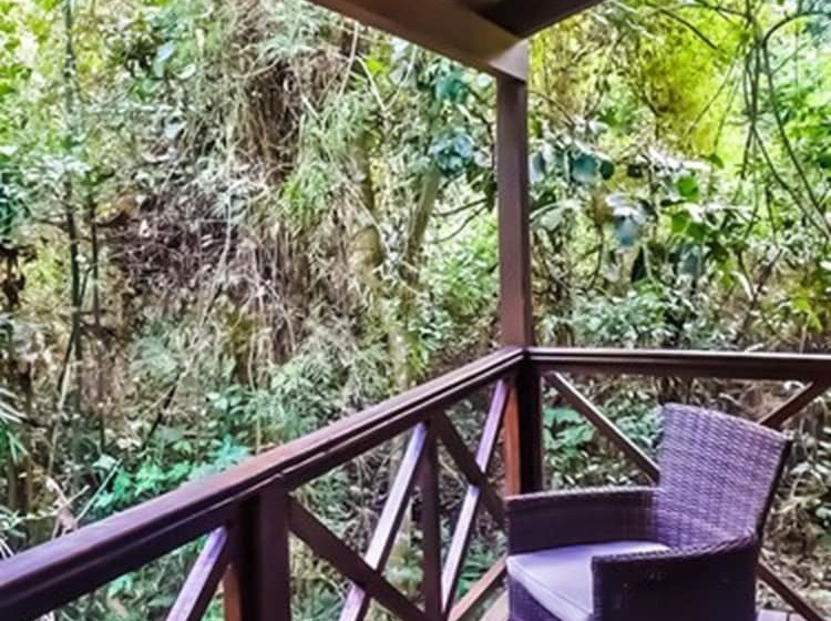 בית מלון כפרי Selva De Laurel