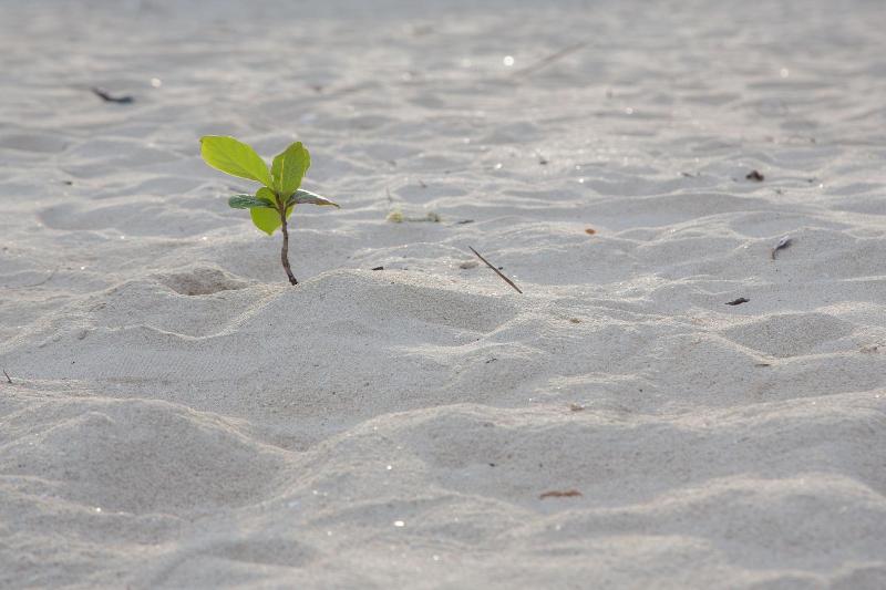 בית מלון כפרי Talay Sai @ Thung Wua Laen