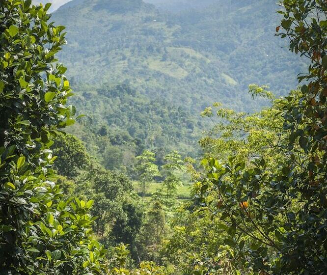 ホテル The Kandy Samadhi Centre