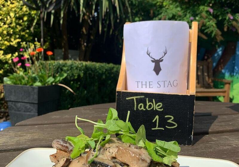 酒店 The Stag