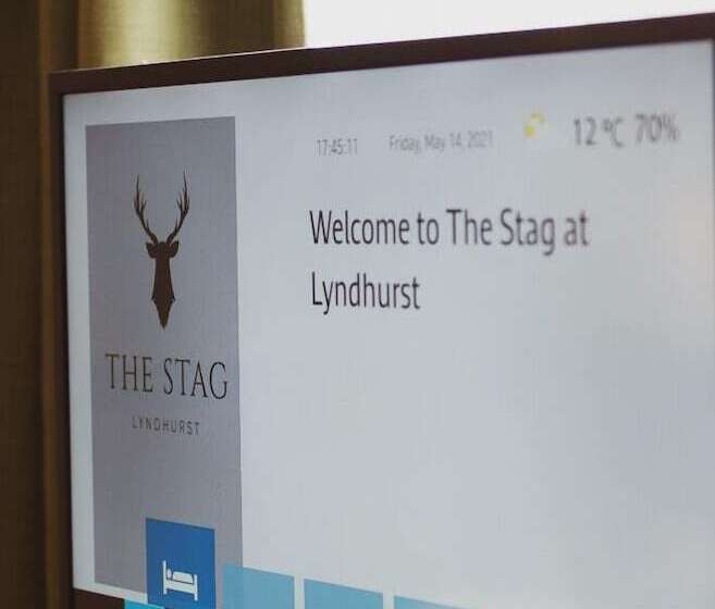 酒店 The Stag