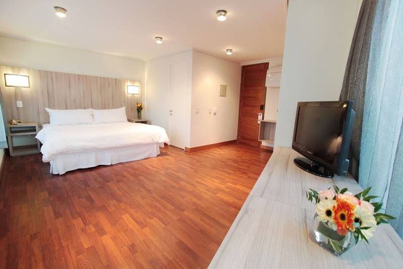 فندق Torremayor Providencia