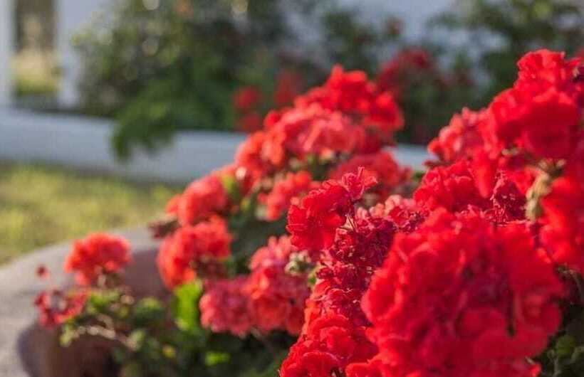 호텔 Venti Seaside Adult