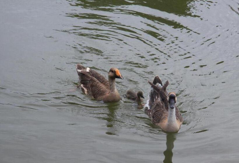 בית מלון כפרי Wet Water Resort