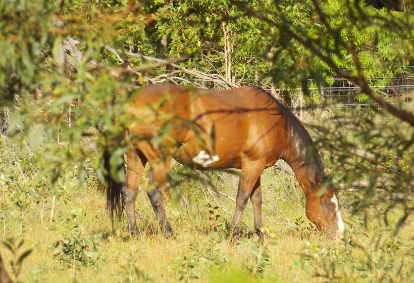 The Lovely Cottages Country Retreat