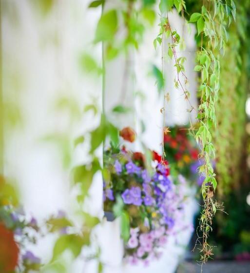 Pension Pinzgauer Hof