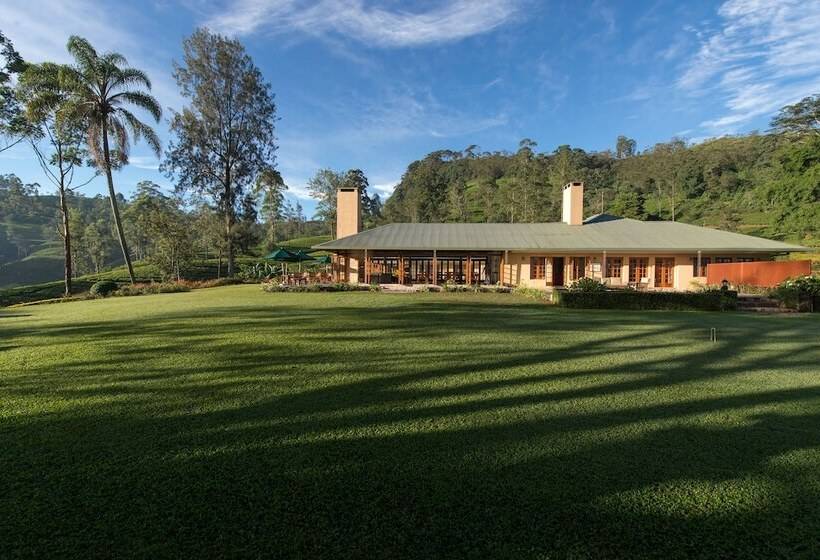渡假胜地 Ceylon Tea Trails Relais And Chateaux