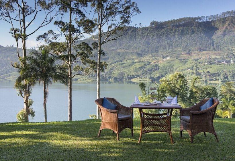 渡假胜地 Ceylon Tea Trails Relais And Chateaux
