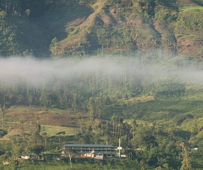 渡假胜地 Ceylon Tea Trails Relais And Chateaux