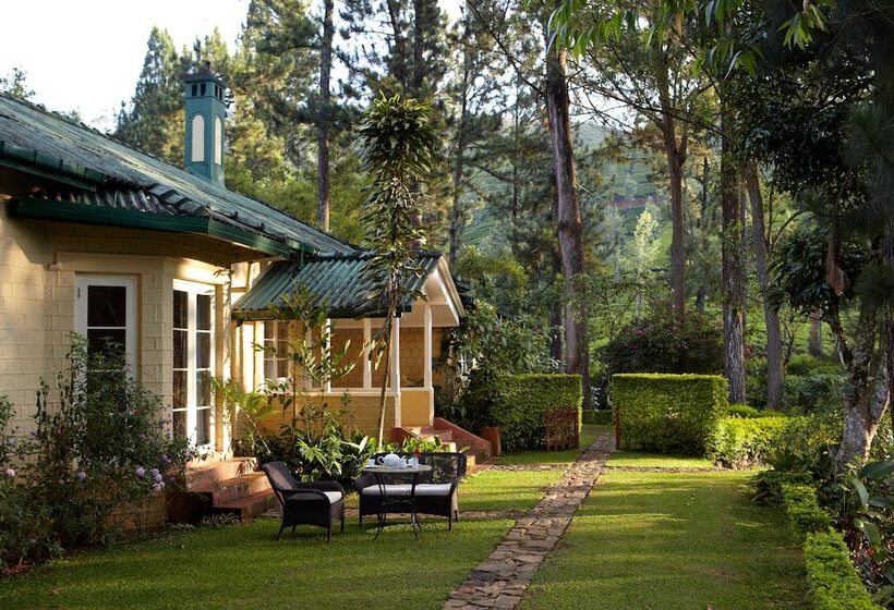 渡假胜地 Ceylon Tea Trails Relais And Chateaux