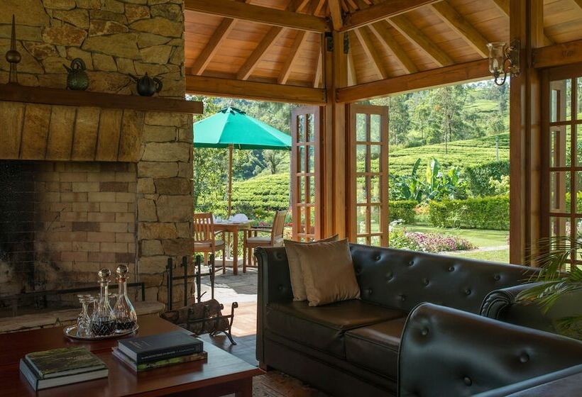 渡假胜地 Ceylon Tea Trails Relais And Chateaux