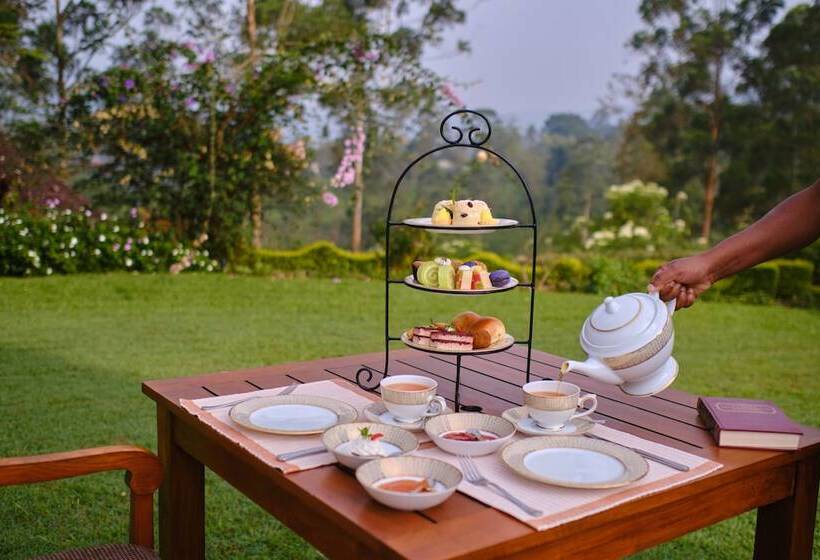 渡假胜地 Ceylon Tea Trails Relais And Chateaux
