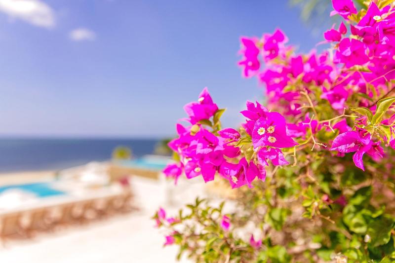 استراحتگاه Las Verandas Hotel & Villas