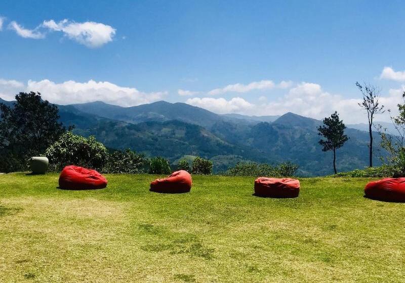Курорт Madulkelle Tea And Eco Lodge