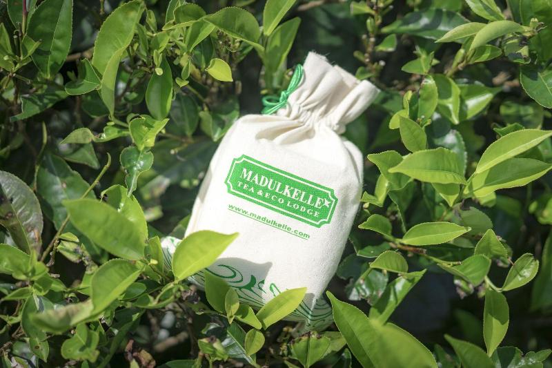 Курорт Madulkelle Tea And Eco Lodge