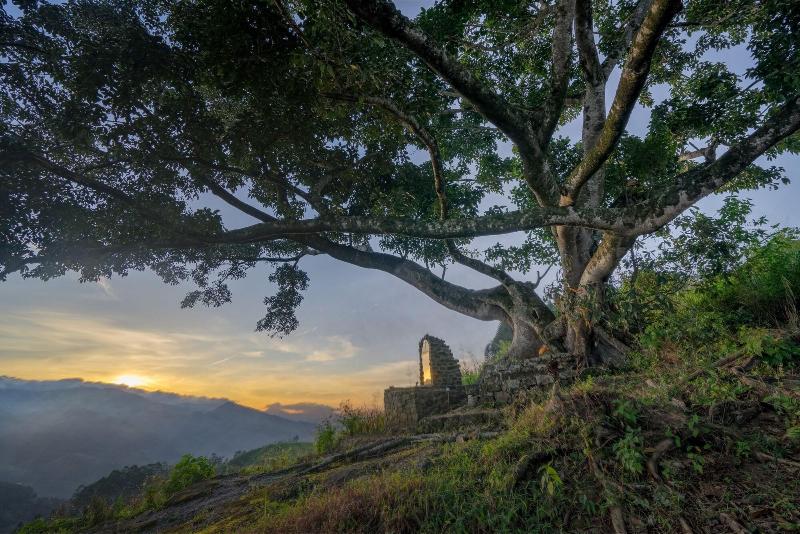 Курорт Madulkelle Tea And Eco Lodge
