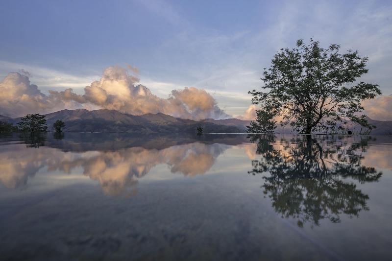 Курорт Madulkelle Tea And Eco Lodge