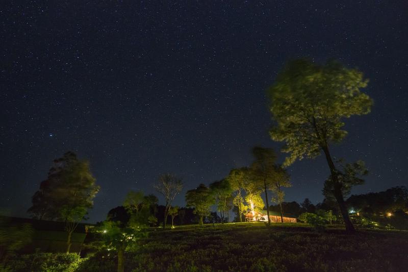 Курорт Madulkelle Tea And Eco Lodge