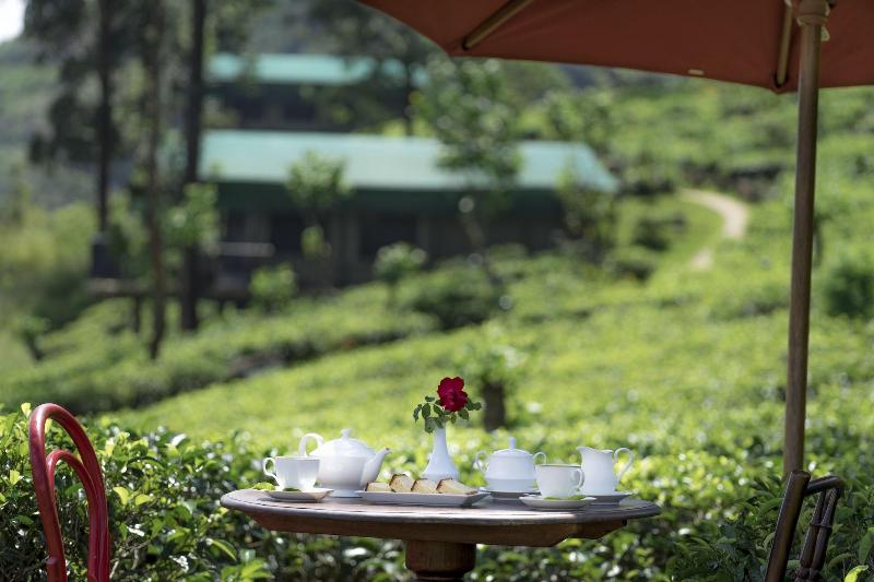 Курорт Madulkelle Tea And Eco Lodge