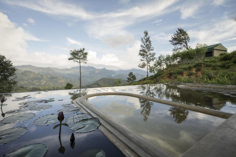 Курорт Madulkelle Tea And Eco Lodge