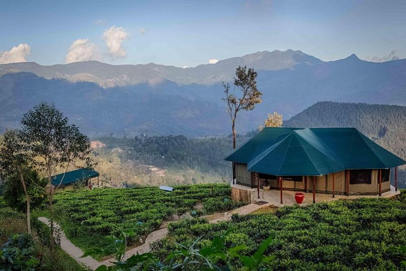 Курорт Madulkelle Tea And Eco Lodge