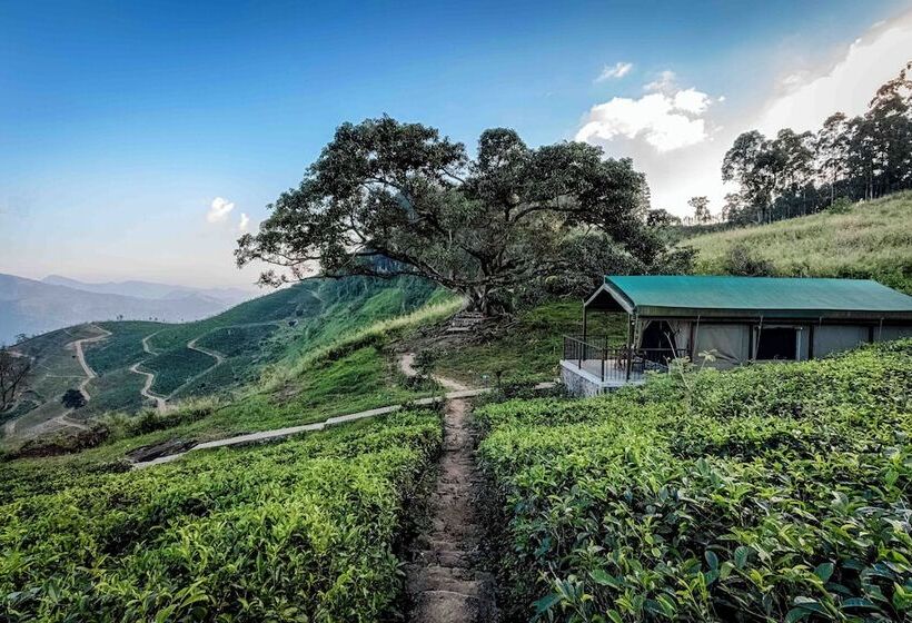 Курорт Madulkelle Tea And Eco Lodge