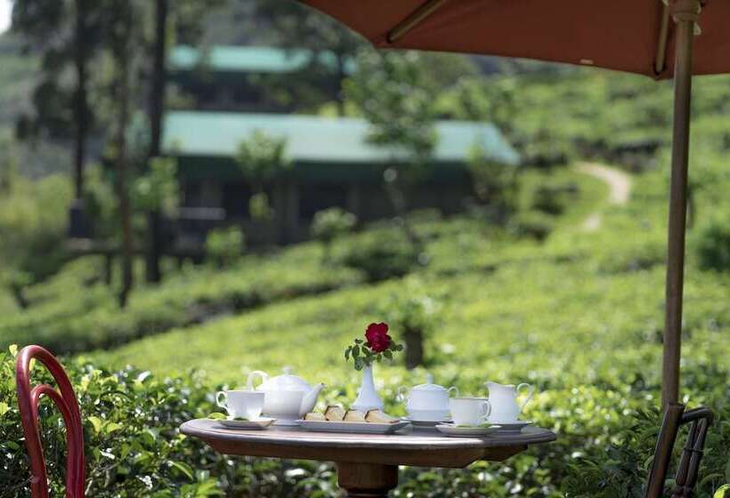 Курорт Madulkelle Tea And Eco Lodge