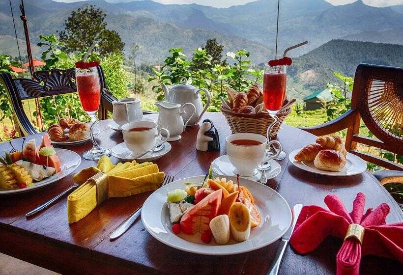 Курорт Madulkelle Tea And Eco Lodge