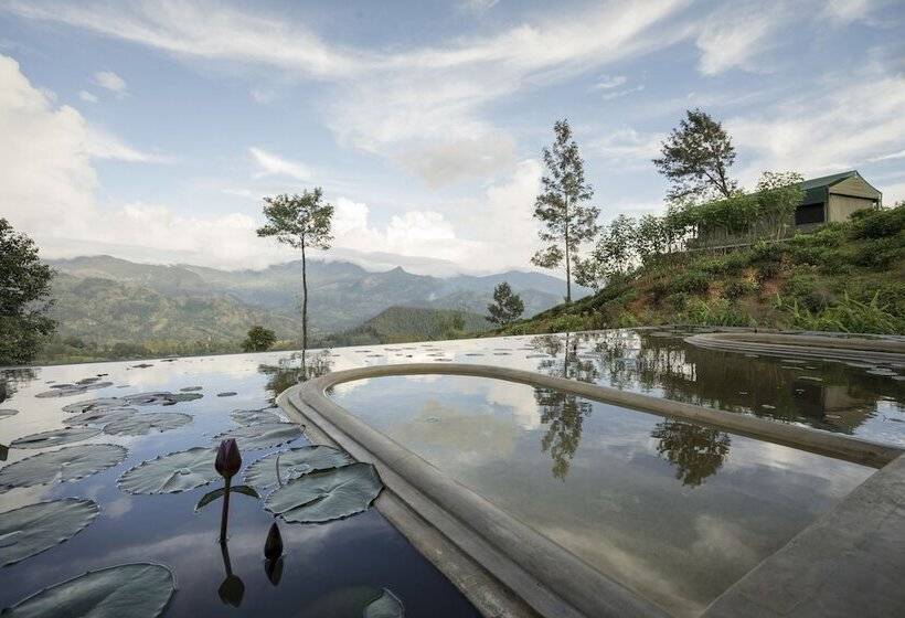 Курорт Madulkelle Tea And Eco Lodge