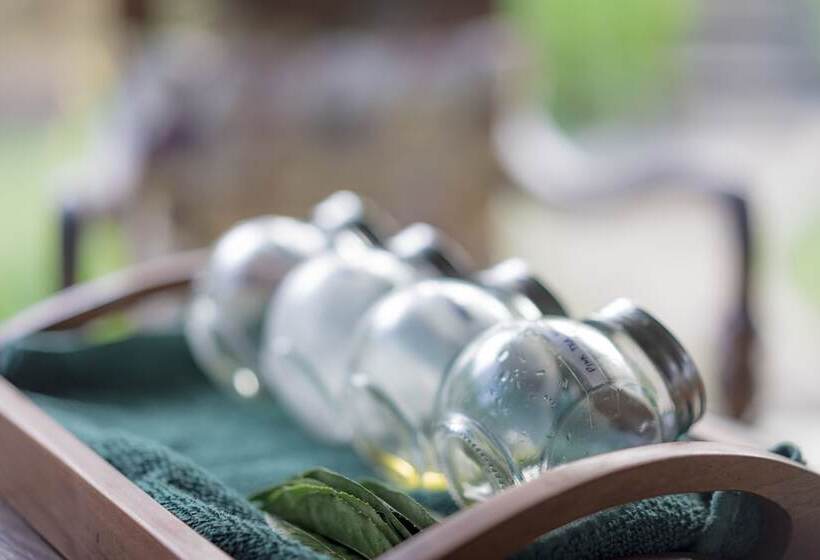 Курорт Madulkelle Tea And Eco Lodge