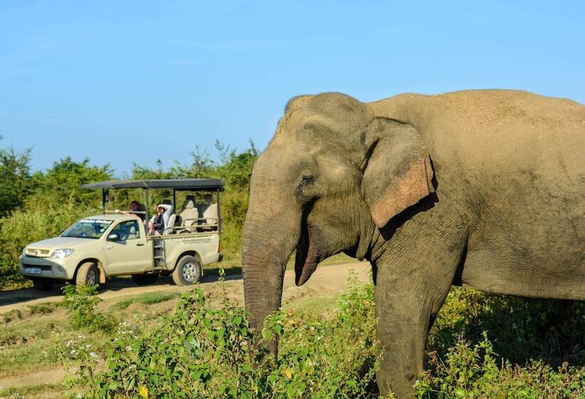 Курорт Talalla Retreat