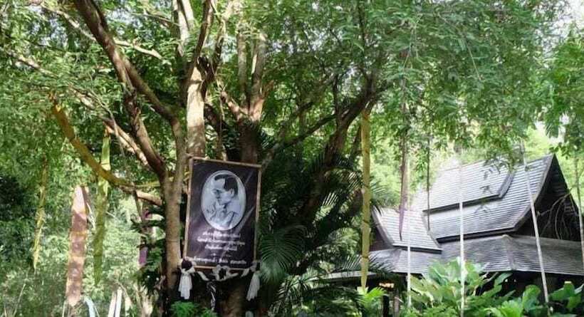 渡假胜地 Sippa Hotspring