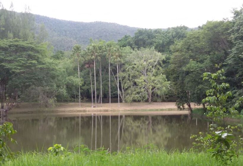 渡假胜地 Sippa Hotspring