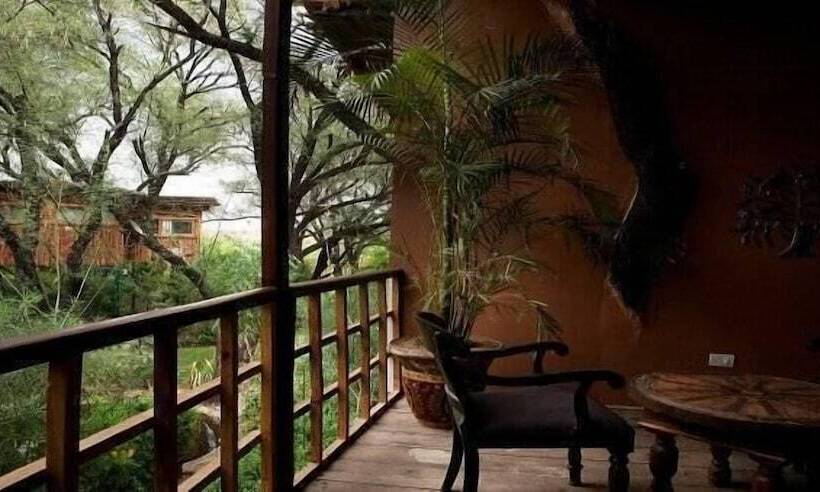 The Tree House Resort