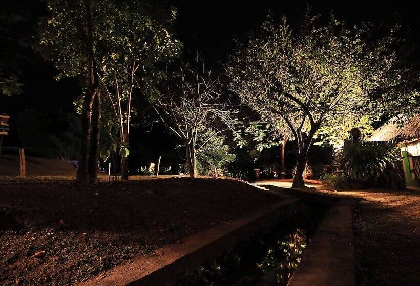 مبيت وإفطار Aldea Huasteca