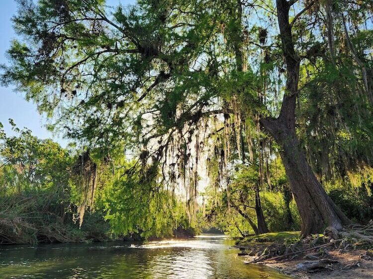 مبيت وإفطار Aldea Huasteca
