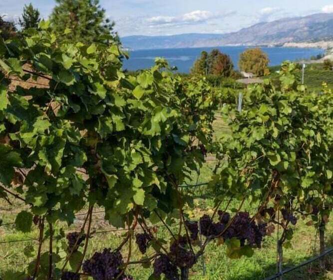 민박 Munson Mountain Estates